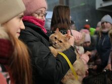 Голова Львівської ОВА звернувся до міжнародних гуманітарних організацій: Де Червоний Хрест, ООН та ОБСЄ?