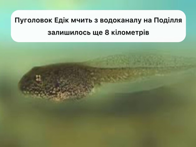 Вінницький облводоканал 