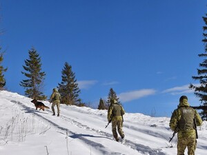 Біля кордону з Румунією виявили тіло чоловіка. У ДПСУ розповіли, про що він сигналізував перед смертю